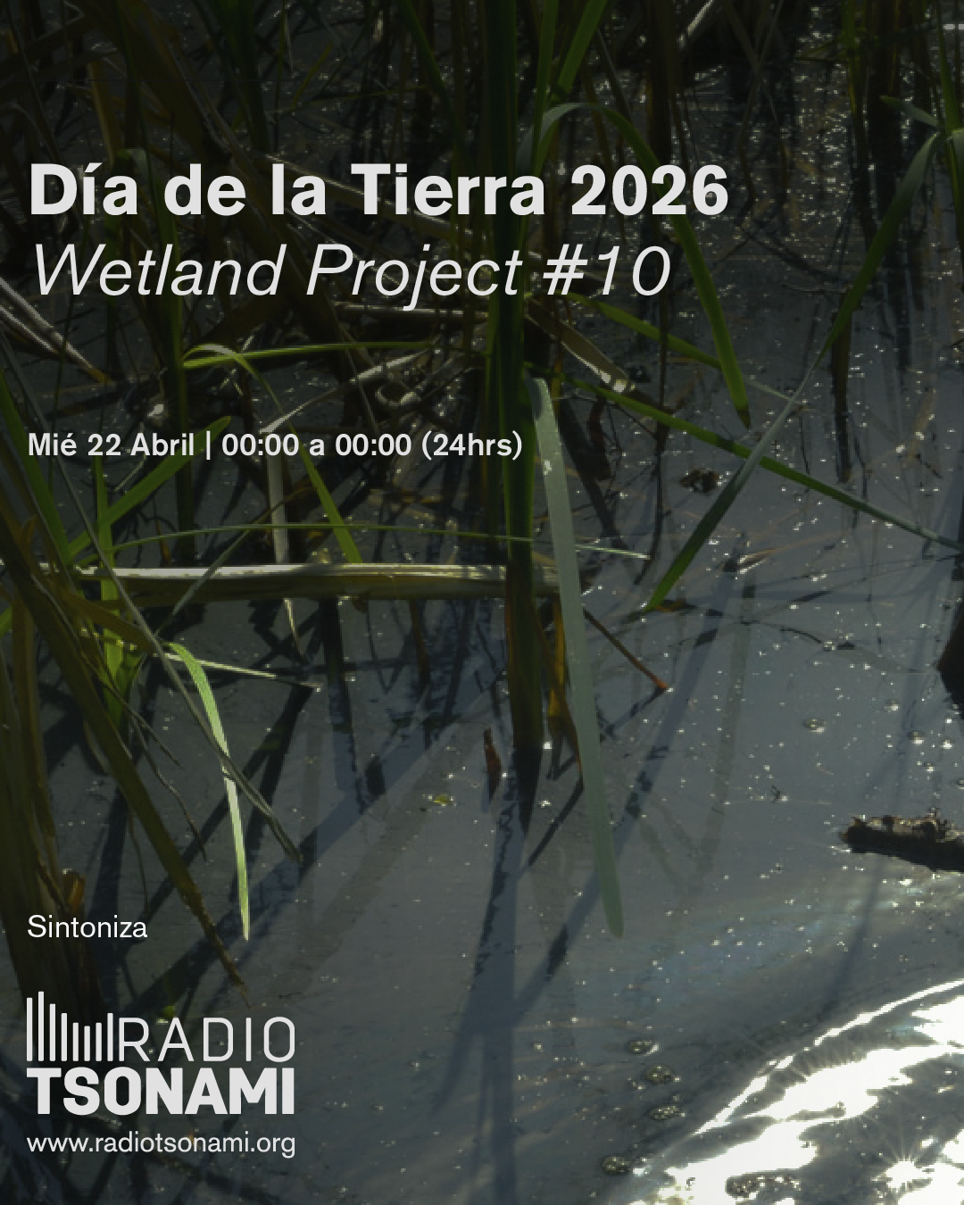 DÍA DE LA TIERRA 2026 | The Wetland Project #10